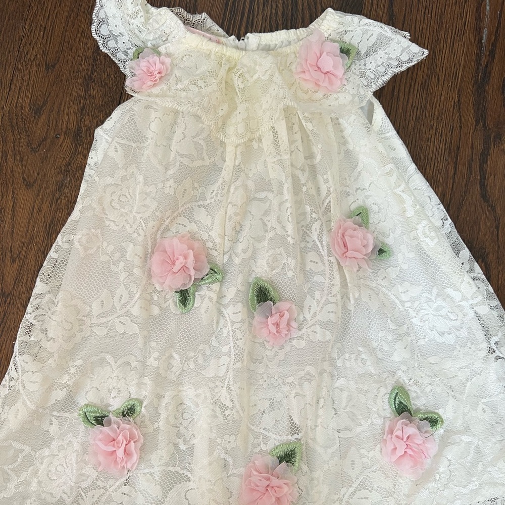 ✨Biscotti✨ baby girls lace dress florals